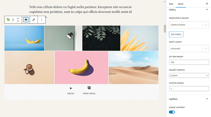Как выглядит работа с Envira Gallery