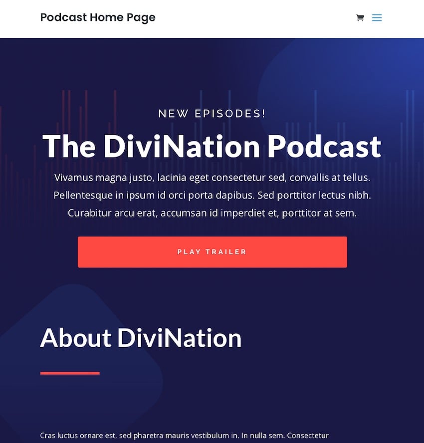 Универсальная многоцелевая Divi