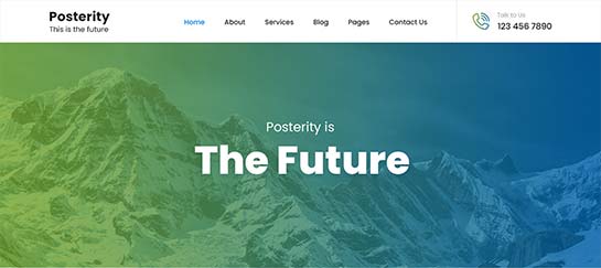 Posterity Pro красивый и адаптивный