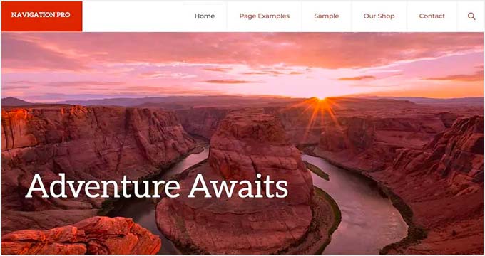 Navigation Pro отличная