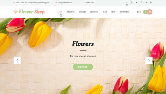 Flower Shop многоцелевая