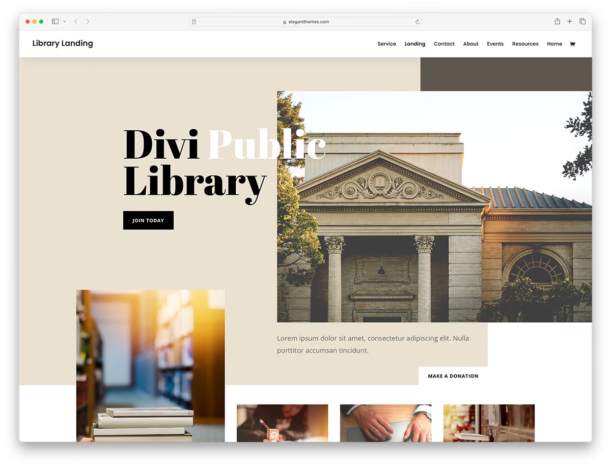 Divi многоцелевая