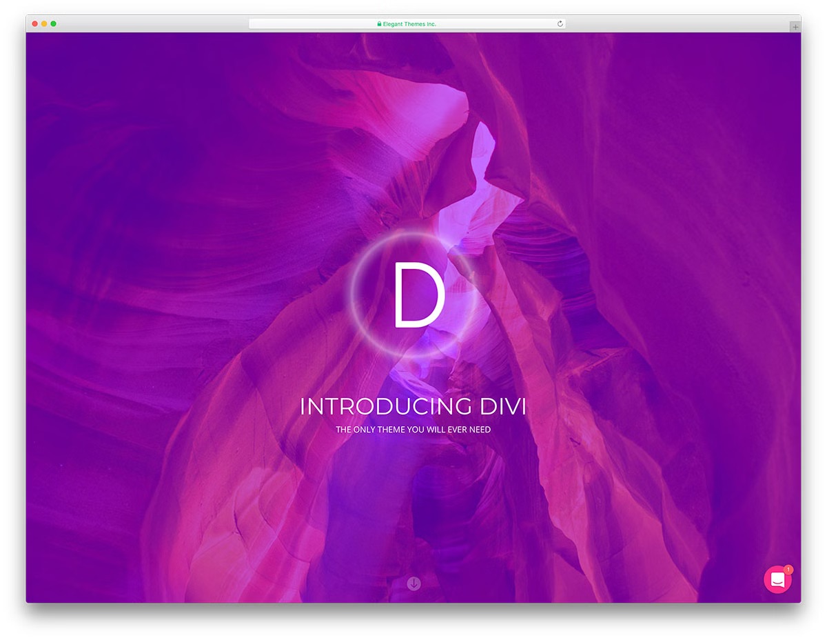 Divi известная