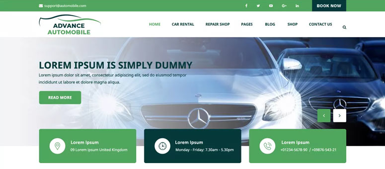 Advance Automobile нишевая