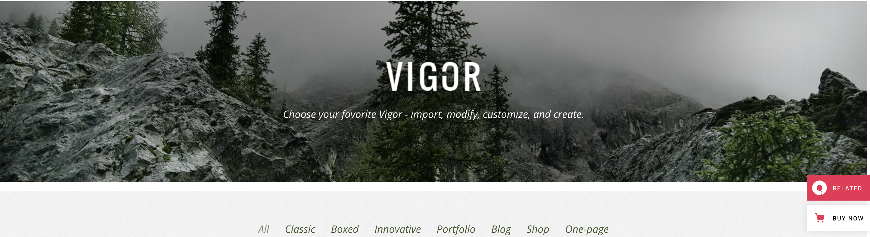 Vigor эстетичная