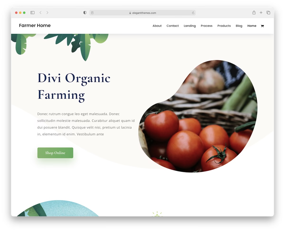 Divi минималистичная