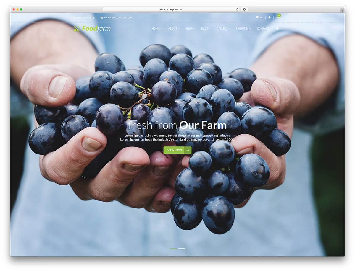 FoodFarm яркая