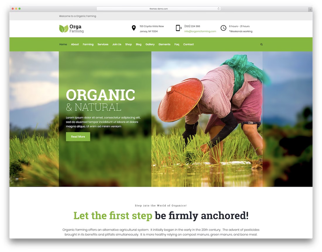 Orga Farm отличная